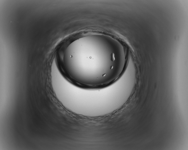 X0000085301496200703091420