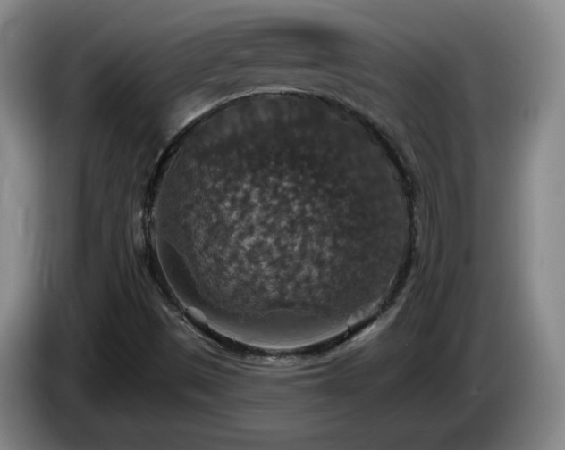 X0000085301497200703091420