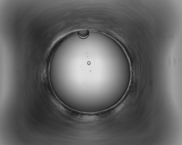 X0000085301498200703091420