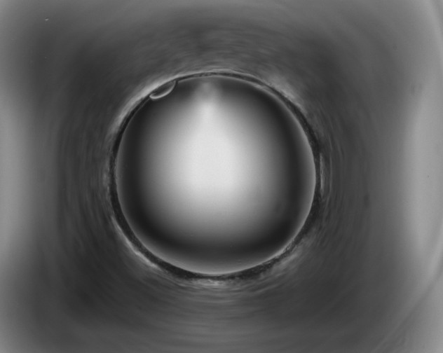 X0000085301500200703091420