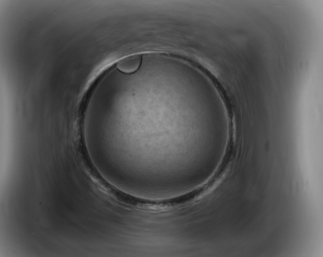 X0000085301501200703091420