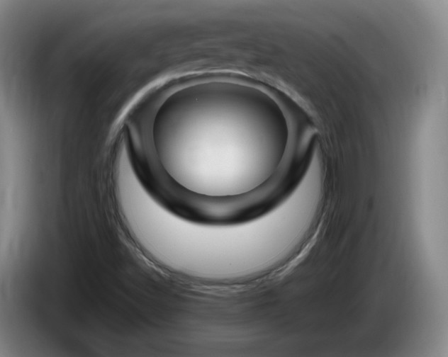 X0000085301502200703091420