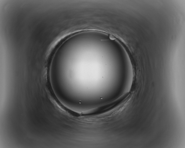 X0000085301503200703091420