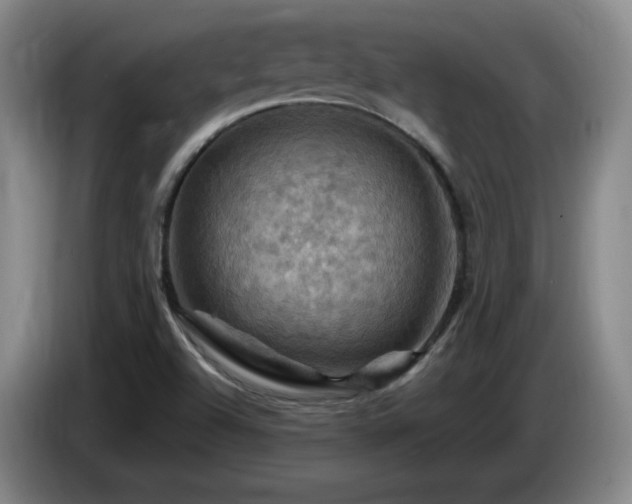 X0000085301504200703091420