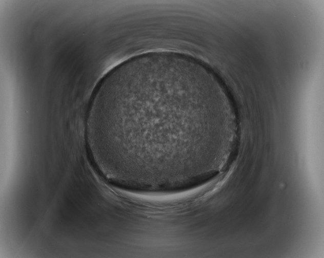 X0000085301505200703091420