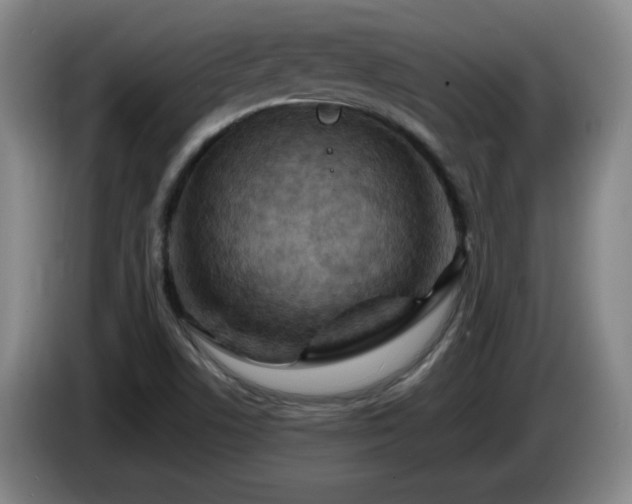 X0000085301506200703091420