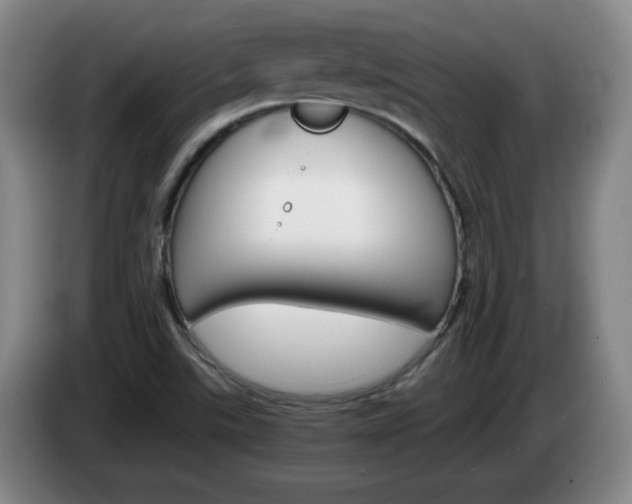 X0000085301507200703091420