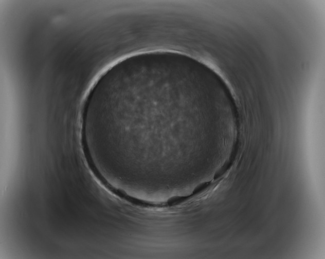 X0000085301508200703091420