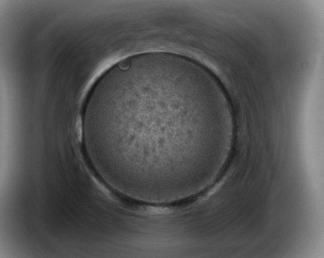 X0000085301509200703091420