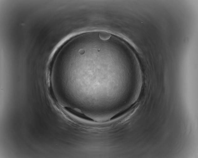 X0000085301510200703091420