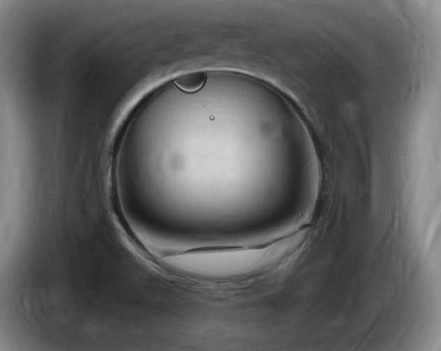 X0000085301511200703091420