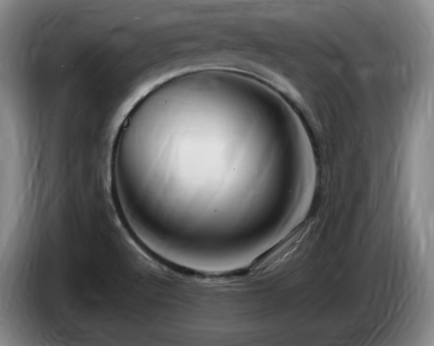 X0000085301512200703091420