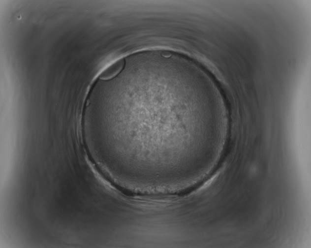 X0000085301513200703091420