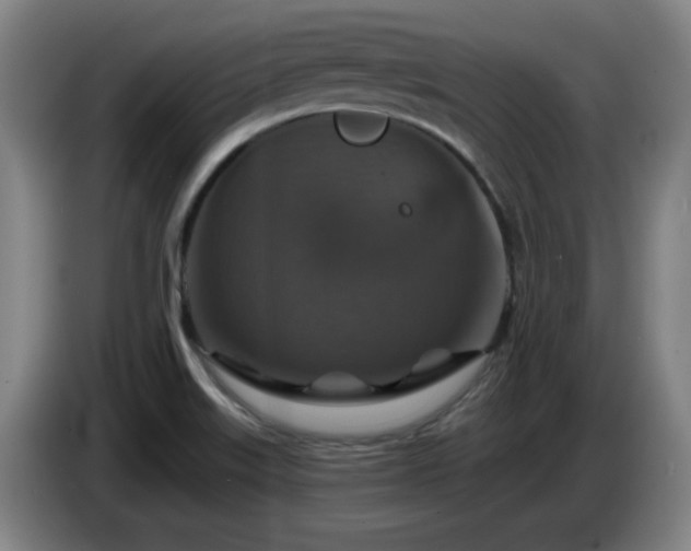 X0000085301515200703091420