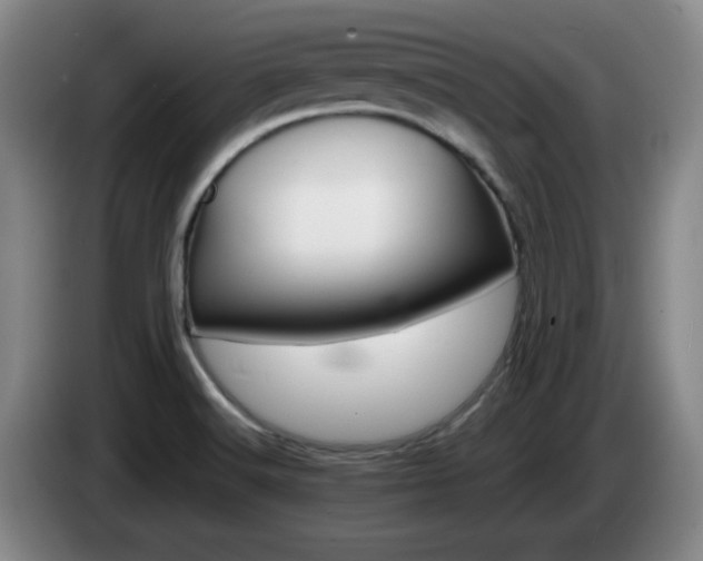 X0000085301516200703091420