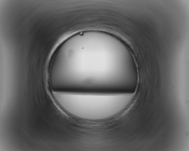 X0000085301517200703091420