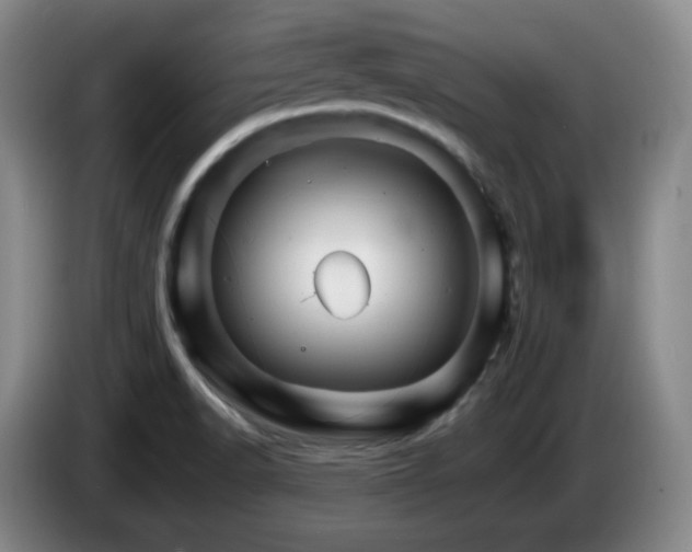 X0000085301518200703091420