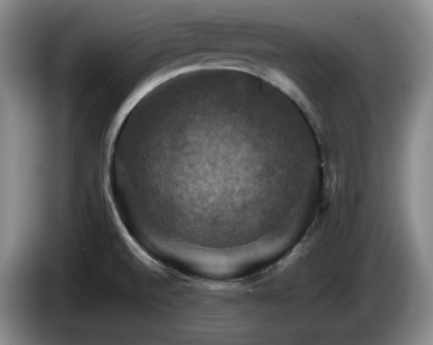 X0000085301520200703091420