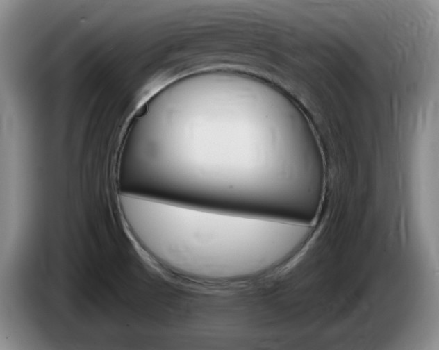 X0000085301521200703091420