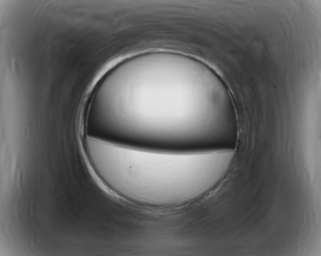 X0000085301523200703091420