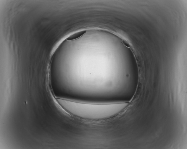 X0000085301524200703091420