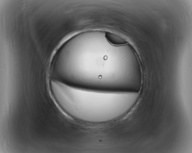 X0000085301525200703091420