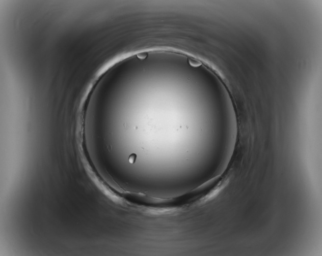 X0000085301526200703091420