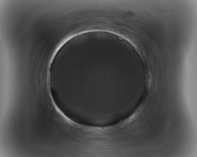 X0000085301527200703091420