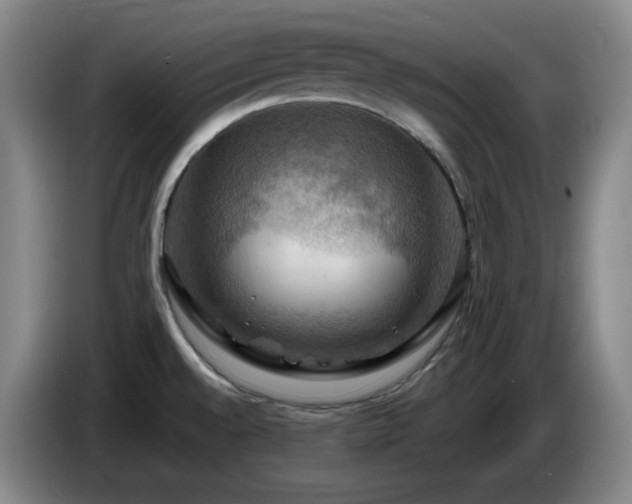 X0000085301528200703091420