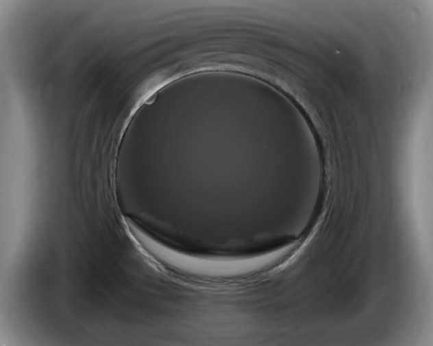 X0000085301529200703091420