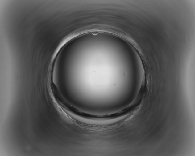 X0000085301530200703091420