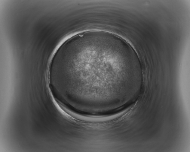 X0000085301531200703091420