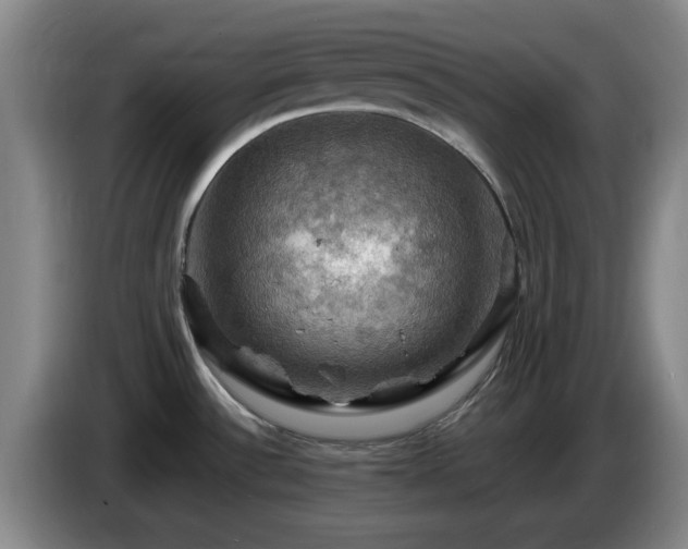 X0000085301532200703091420