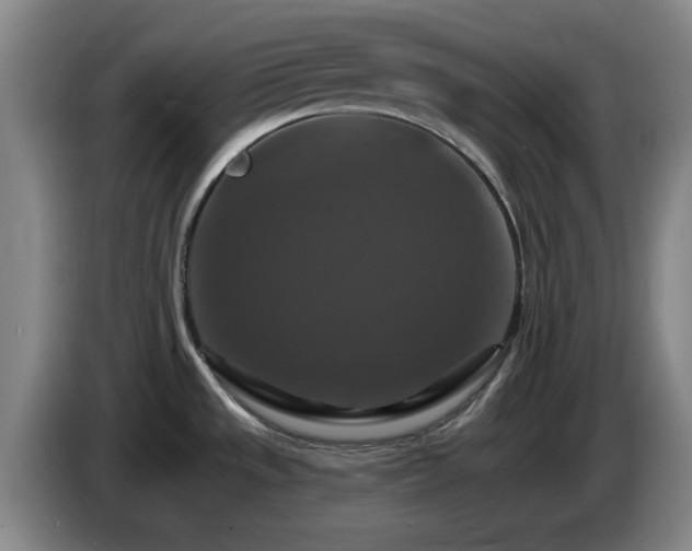 X0000085301533200703091420