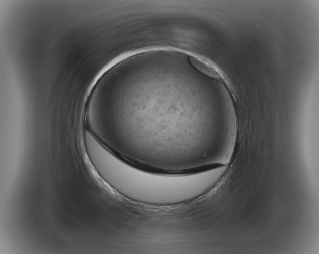 X0000085301534200703091420