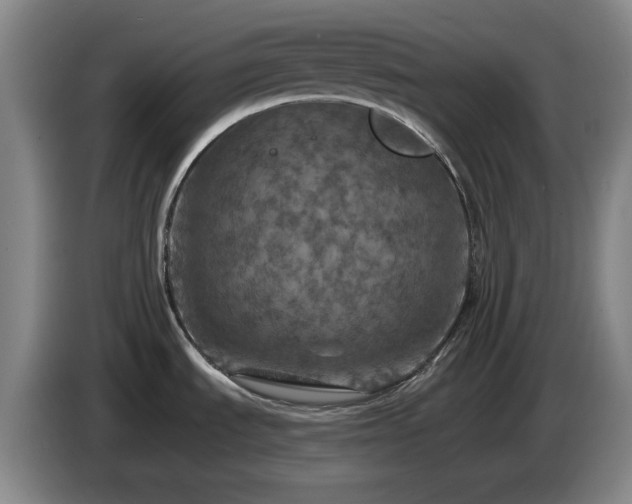 X0000085301535200703091420