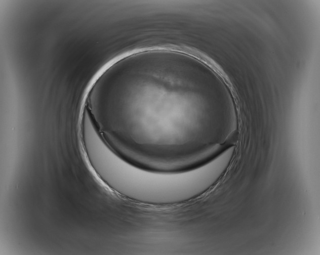 X0000085301536200703091420