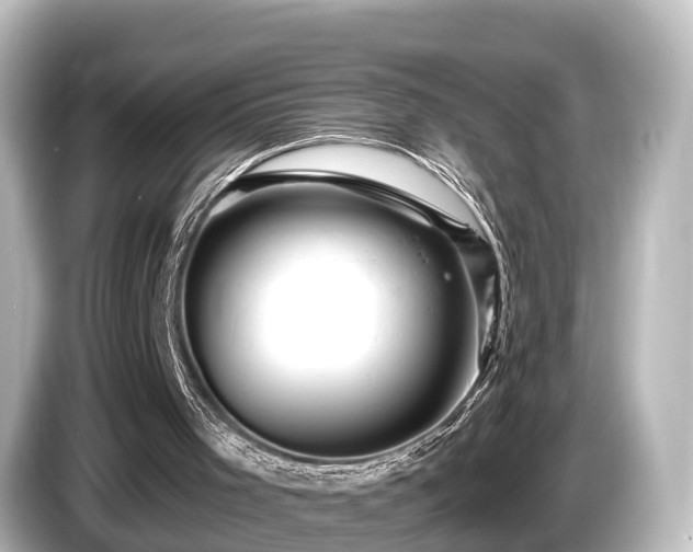 X0000085300001200703161442