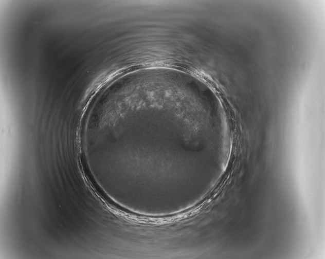 X0000085300002200703161442