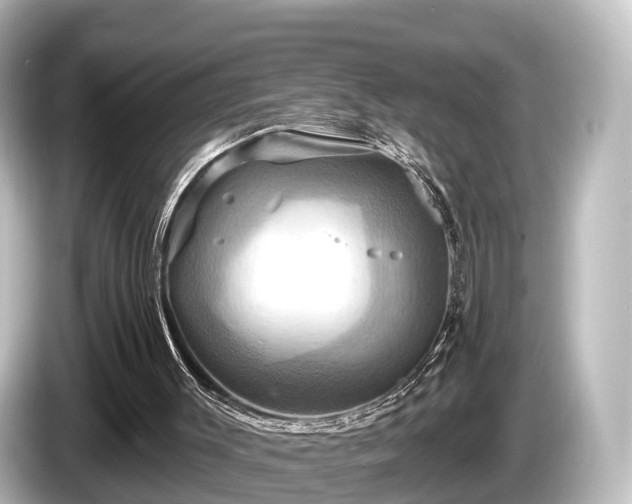 X0000085300003200703161442