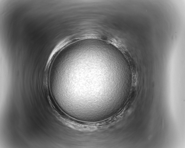 X0000085300004200703161442