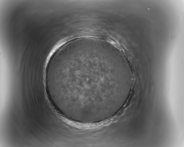 X0000085300006200703161442