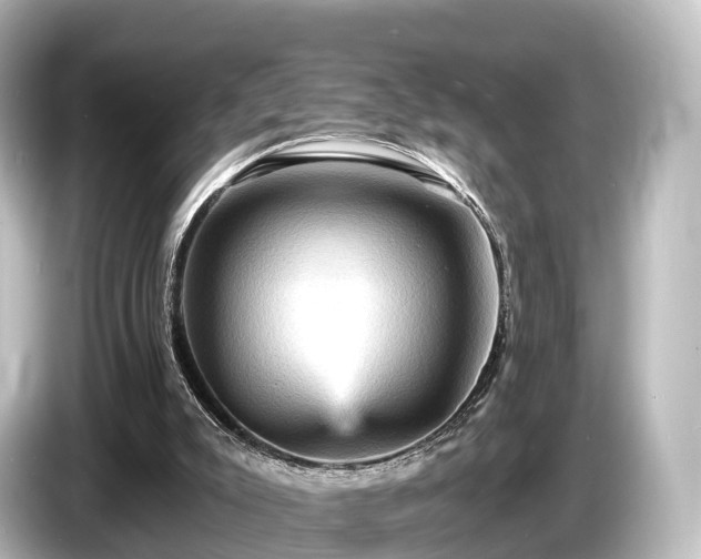 X0000085300007200703161442