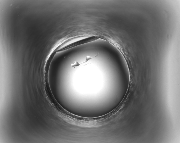 X0000085300008200703161442