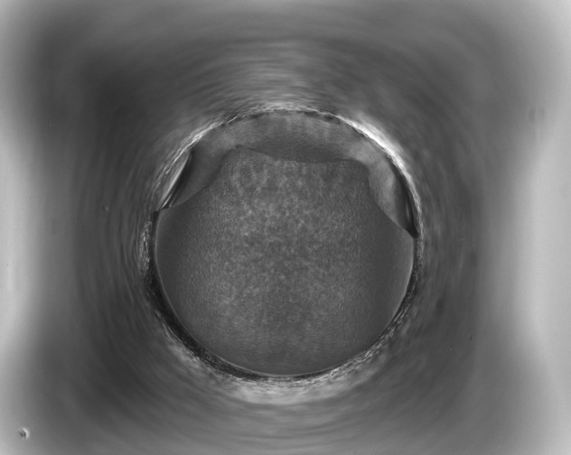 X0000085300009200703161442