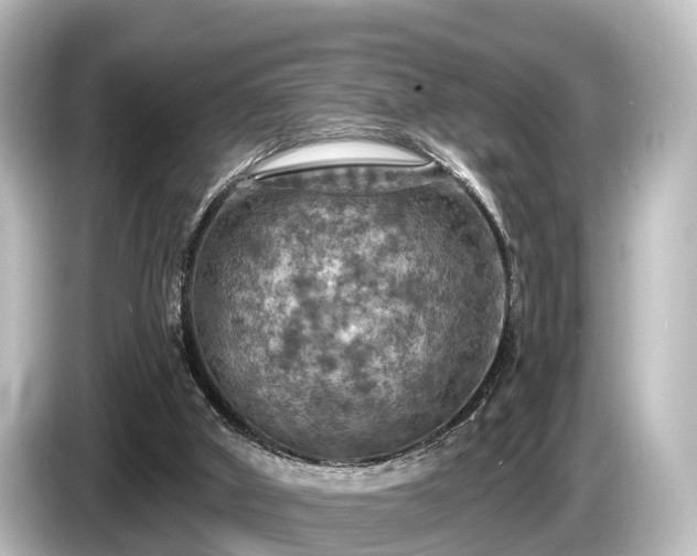 X0000085300010200703161442