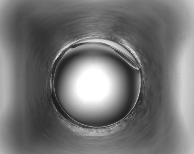 X0000085300011200703161442