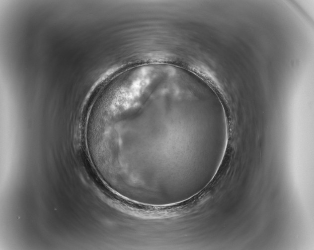 X0000085300012200703161442