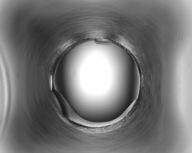 X0000085300013200703161442