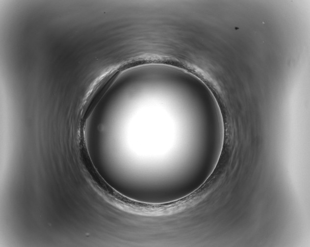 X0000085300015200703161442